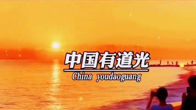 救援受困的鹭